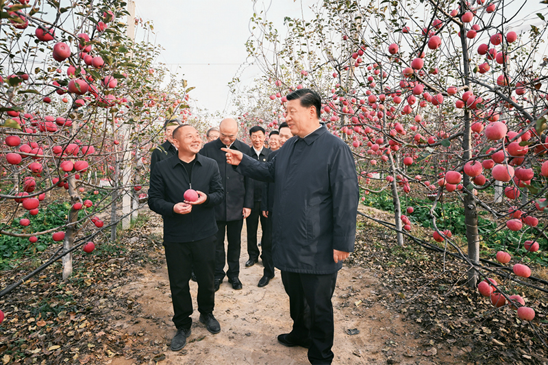 习：加快扶植农业强邦 胀动农业乡下摩登化(图1)