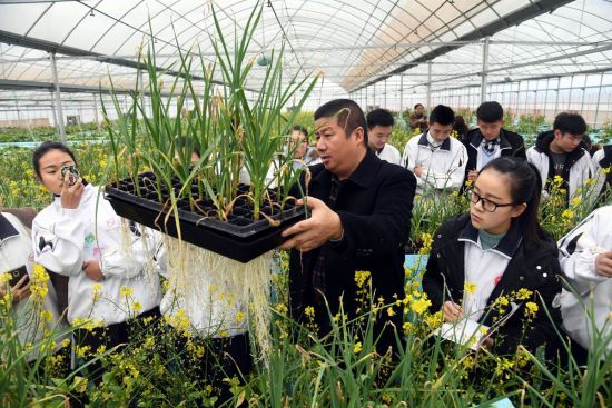 植物栽植常识docx