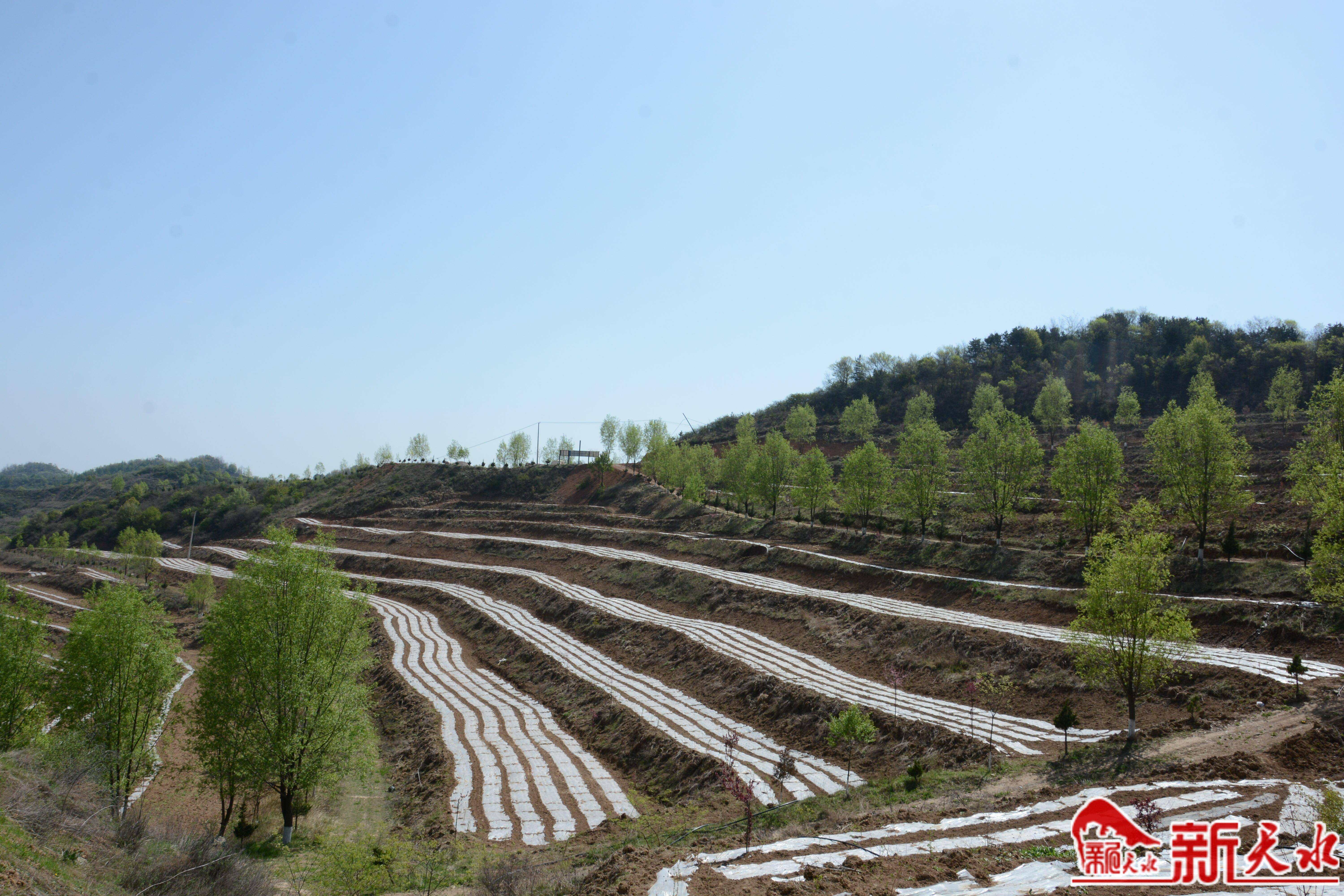 不负好光阴 田间稼穑忙(图5)