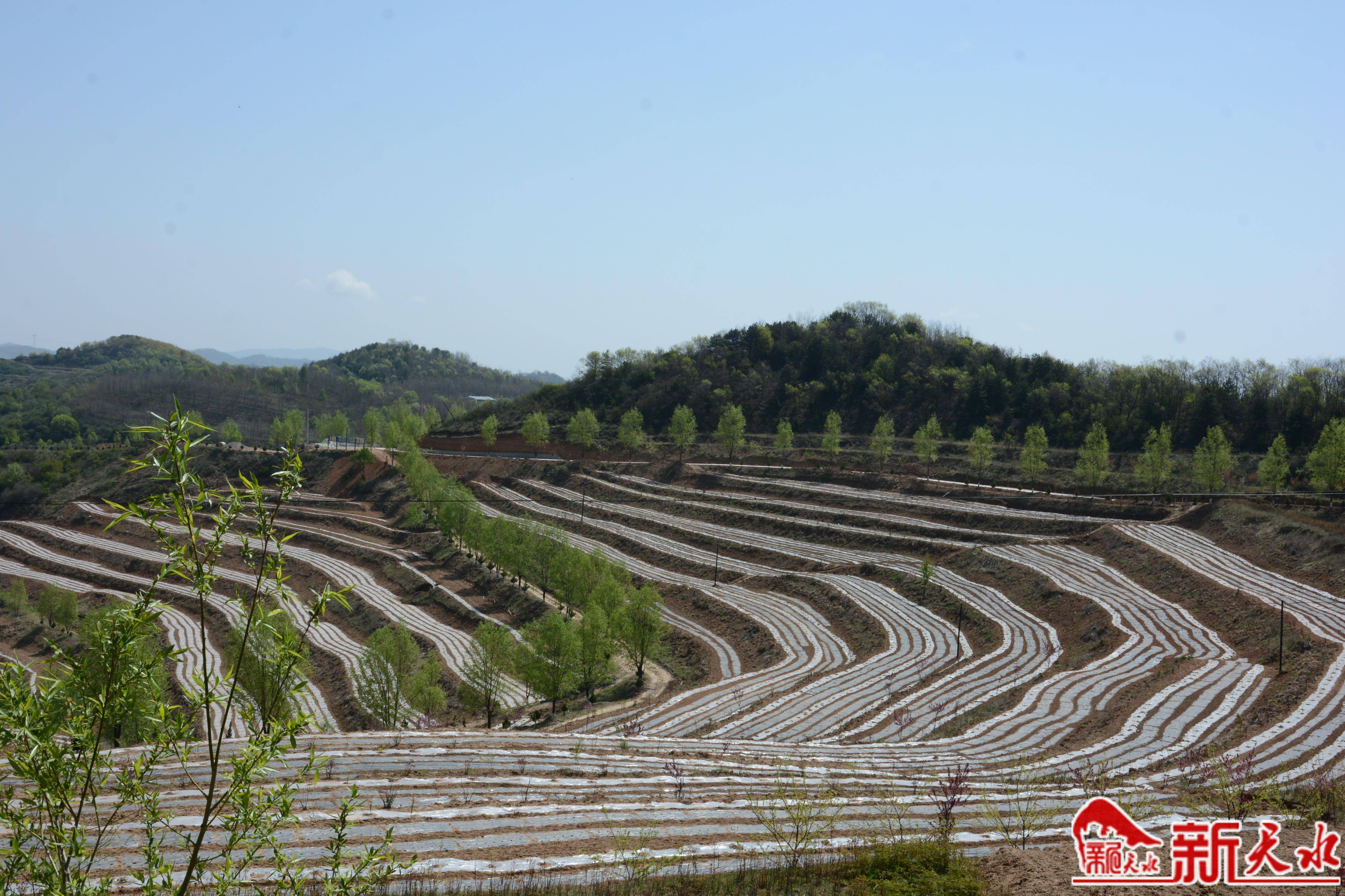 不负好光阴 田间稼穑忙(图6)
