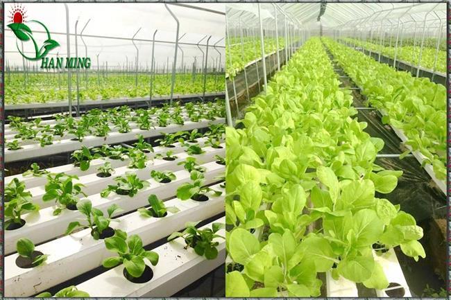 华体育手机版app官网下载：《原神》栽种之法职分何如玩栽种之法职分筑制要领教程