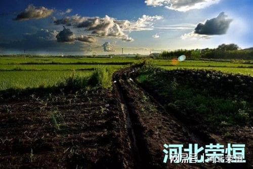 绿色种植根源正在哪里(图2)