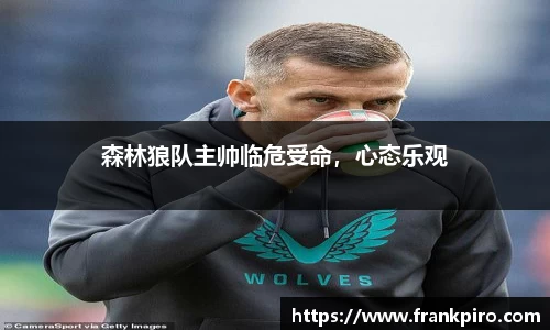 森林狼队主帅临危受命，心态乐观