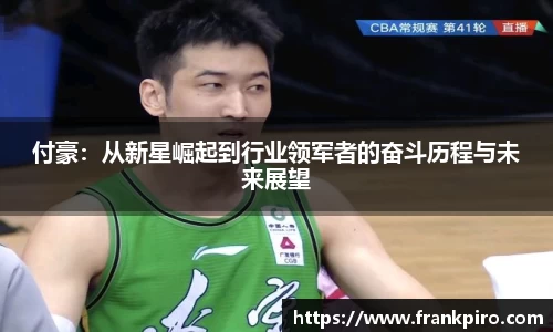 付豪：从新星崛起到行业领军者的奋斗历程与未来展望